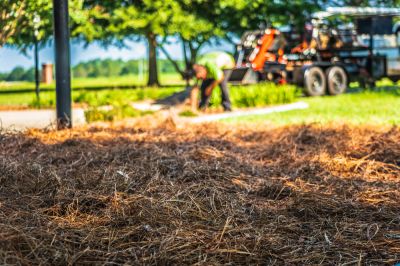 Suppresses weed growth.