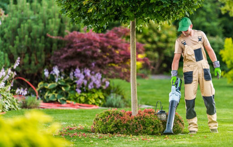 A Landscaper Clearing Fallen Leaves