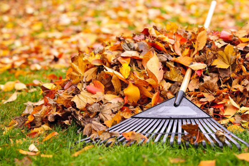Lawn Raking and Debris Collection