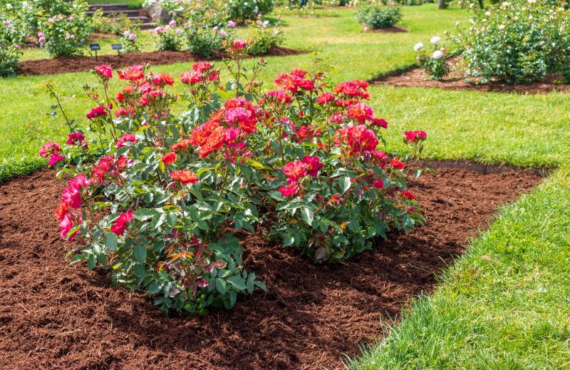 Flower Bed Cleanup Service in Honolulu, HI