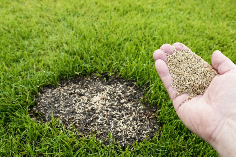 Grass Repair in Honolulu, HI