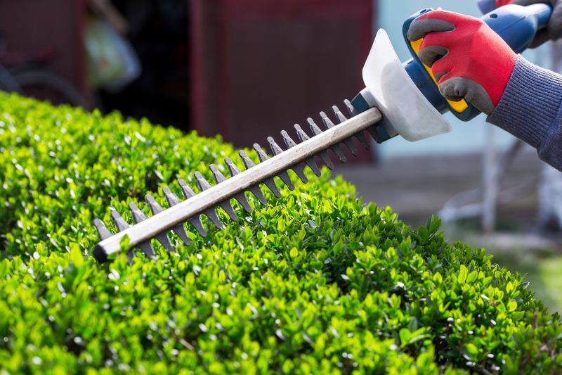 Hedge Replacement in Ventura County, CA