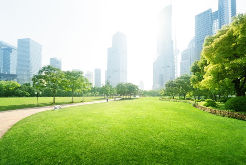 Industrial Landscaping Service in Honolulu, HI