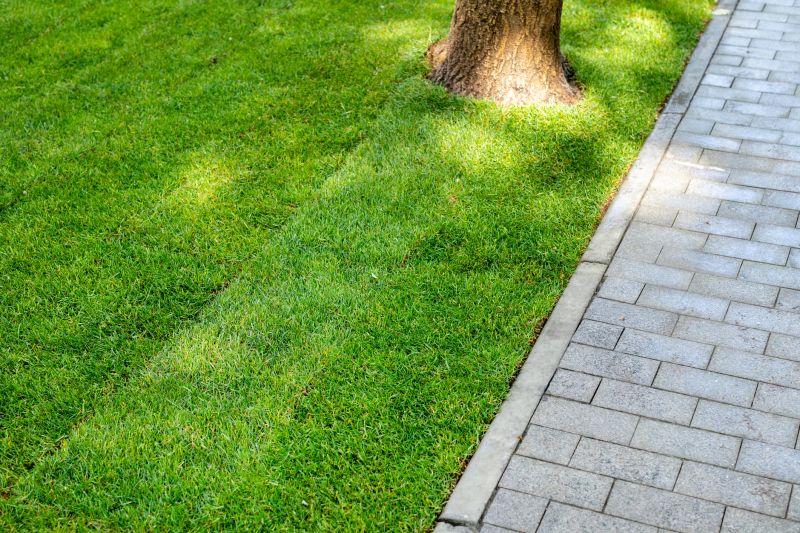 Landscaping Installation in Honolulu, HI