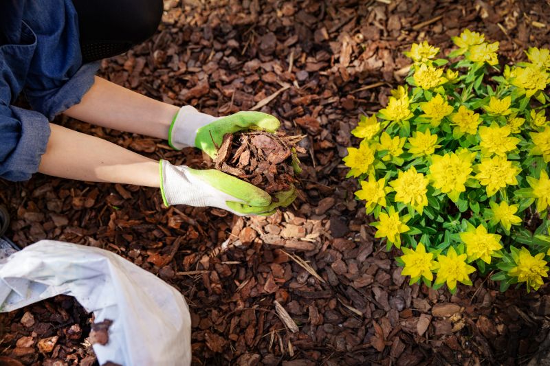 Mulching for Soil Health