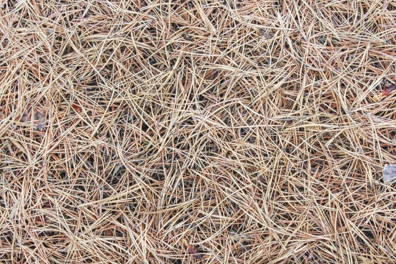 Pine Straw Mulching