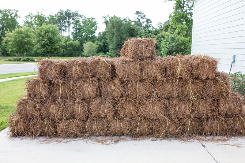 Fall Pine Straw Cover