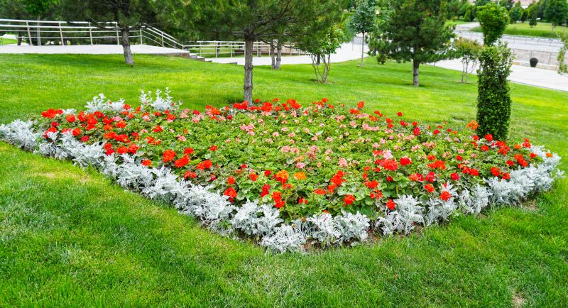 Shrub Landscaping in Ventura County, CA