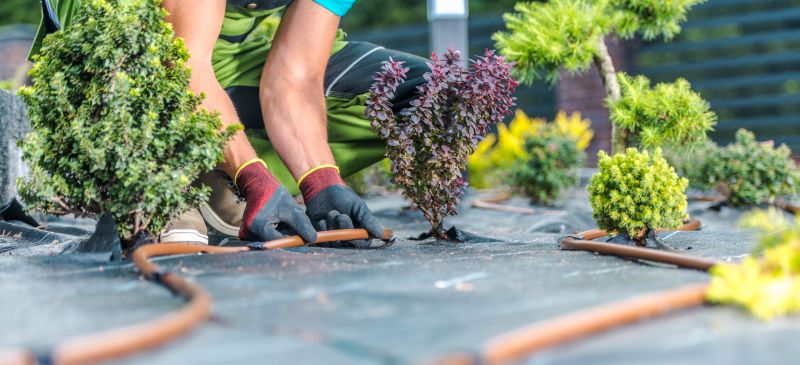Softscaping Service in Honolulu, HI