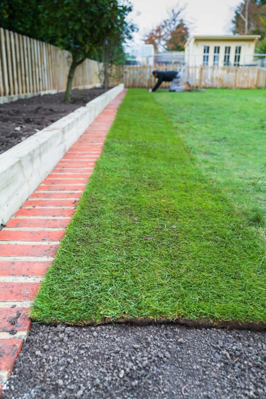 Tree Edging Installation in Honolulu, HI